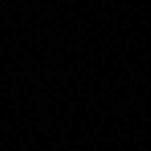 Meet your Posher, Ella